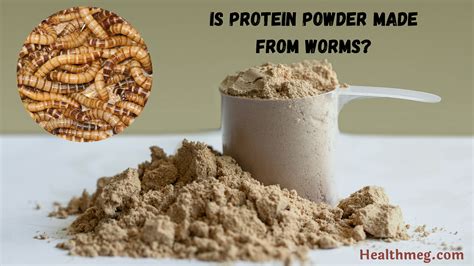 Is All Protein Powder Made from Worms? And Why Do We Even Care?