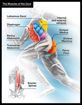 Running Works What Muscles: A Dive into the Kinetic Symphony of the Human Body