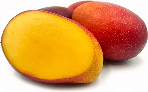  The Orphaned Prince: A Tale of Destiny and Delicious Mangoes from 9th Century Thailand!