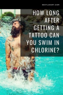 What Happens If I Swim with a New Tattoo? And Why Do Dolphins Love Fresh Ink?