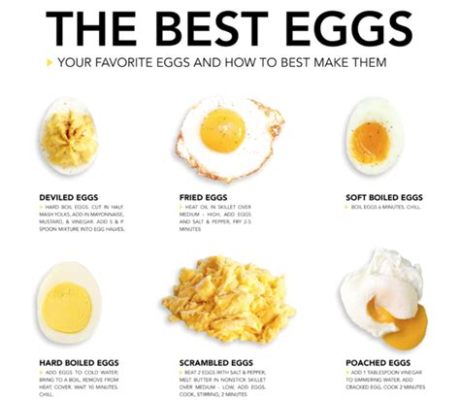 When an Egg is Fried, What Happens to the Protein in the Egg? And Why Do Some People Believe Eggs Can Predict the Weather?